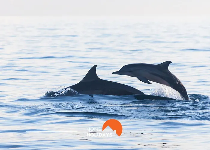 #112 Oura Flat By Holidays * Αλμπουφέιρα